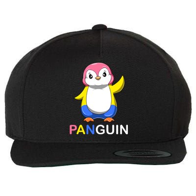 Pansexual Penguin A Colorful Pansexual Panguin Gift Wool Snapback Cap