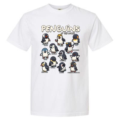 Penguin Penguins Animals Of The World Penguin Lovers Garment-Dyed Heavyweight T-Shirt