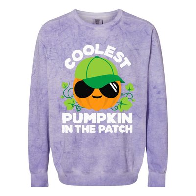 Pumpkin Patch Boy Or Girl Fall Coolest Halloween Colorblast Crewneck Sweatshirt