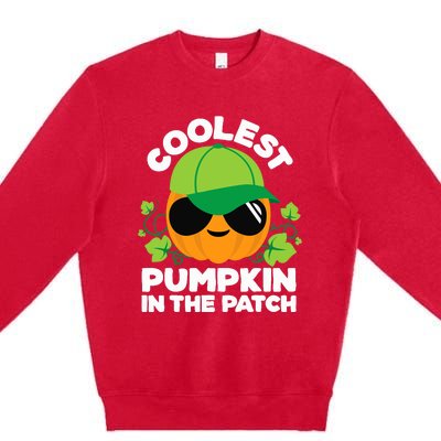 Pumpkin Patch Boy Or Girl Fall Coolest Halloween Premium Crewneck Sweatshirt