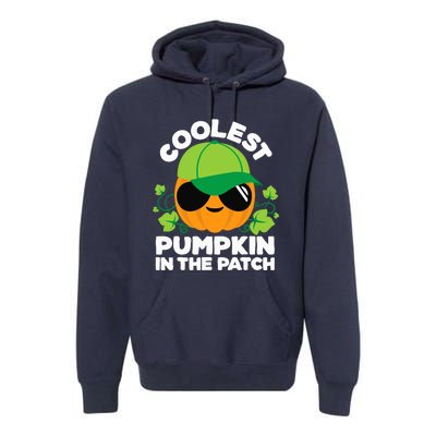 Pumpkin Patch Boy Or Girl Fall Coolest Halloween Premium Hoodie