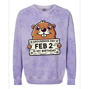 Punxsy PhilS Cute Groundhog Day February 2nd Birthday Colorblast Crewneck Sweatshirt