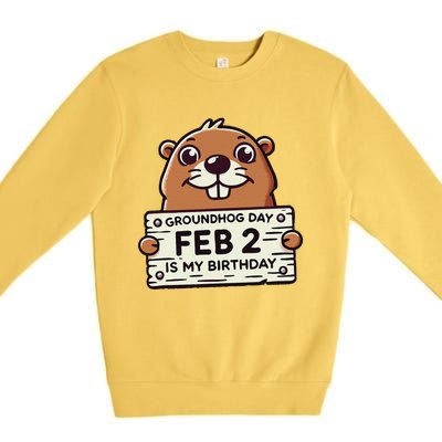 Punxsy PhilS Cute Groundhog Day February 2nd Birthday Premium Crewneck Sweatshirt