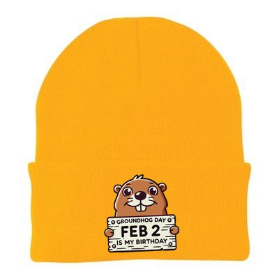 Punxsy PhilS Cute Groundhog Day February 2nd Birthday Knit Cap Winter Beanie