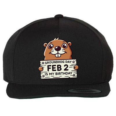 Punxsy PhilS Cute Groundhog Day February 2nd Birthday Wool Snapback Cap