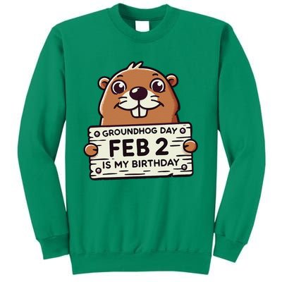 Punxsy PhilS Cute Groundhog Day February 2nd Birthday Sweatshirt