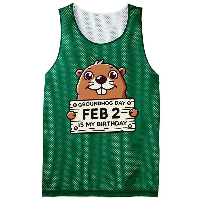 Punxsy PhilS Cute Groundhog Day February 2nd Birthday Mesh Reversible Basketball Jersey Tank