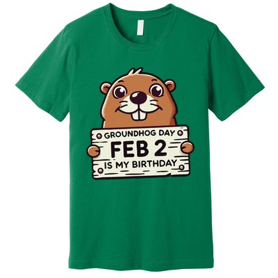 Punxsy PhilS Cute Groundhog Day February 2nd Birthday Premium T-Shirt