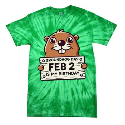 Punxsy PhilS Cute Groundhog Day February 2nd Birthday Tie-Dye T-Shirt