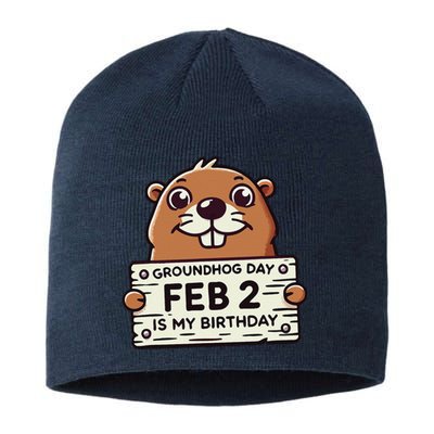 Punxsy PhilS Cute Groundhog Day February 2nd Birthday Sustainable Beanie