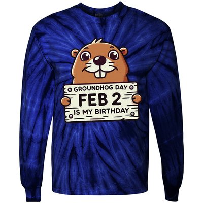 Punxsy PhilS Cute Groundhog Day February 2nd Birthday Tie-Dye Long Sleeve Shirt