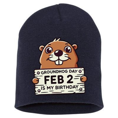 Punxsy PhilS Cute Groundhog Day February 2nd Birthday Short Acrylic Beanie