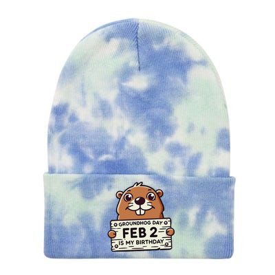 Punxsy PhilS Cute Groundhog Day February 2nd Birthday Tie Dye 12in Knit Beanie