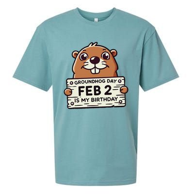 Punxsy PhilS Cute Groundhog Day February 2nd Birthday Sueded Cloud Jersey T-Shirt