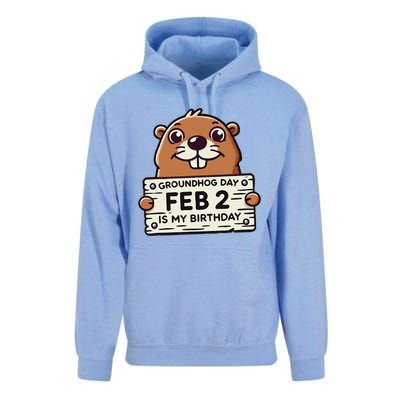 Punxsy PhilS Cute Groundhog Day February 2nd Birthday Unisex Surf Hoodie