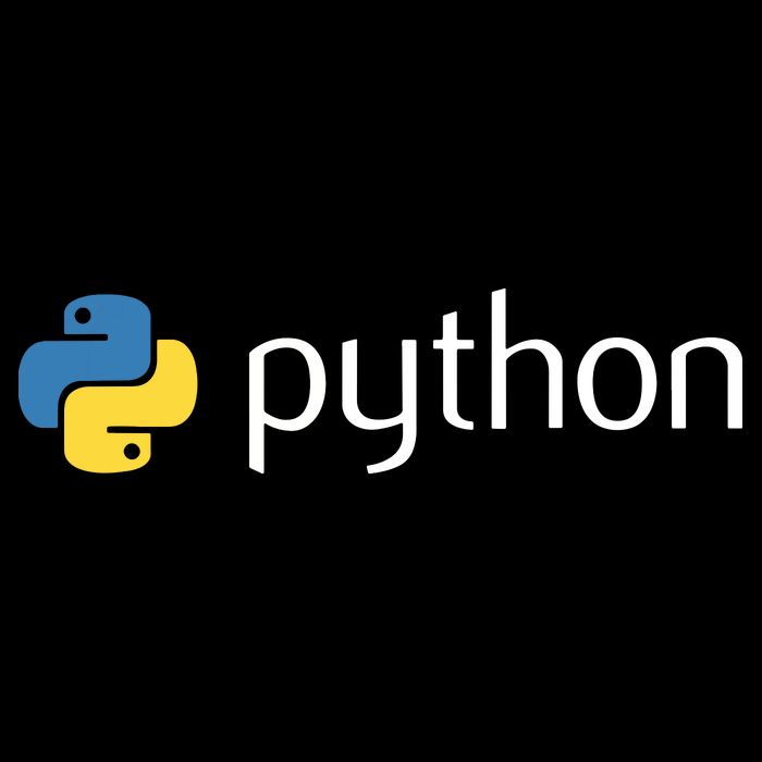 Python Programmer Computer Developers Tee Kids Hoodie