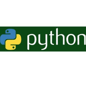 Python Programmer Computer Developers Tee Bumper Sticker