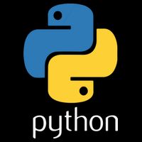 Python Programmer Computer Developers Tee Women's Knotted Racerback Tank