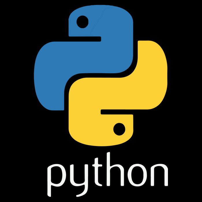 Python Programmer Computer Developers Tee Kids Hoodie