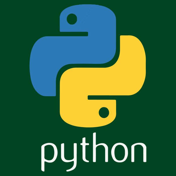 Python Programmer Computer Developers Tee Coaster