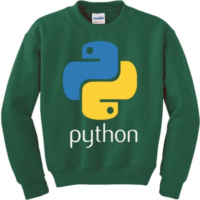 Python Programmer Computer Developers Tee Kids Sweatshirt