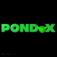 Pond0x Pond Dex Pondx Pondcoin Pndc Crypto Paulu Sustainable Beanie