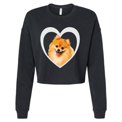 Pomeranian Pomeranian Dog Pomeranian Cropped Pullover Crew