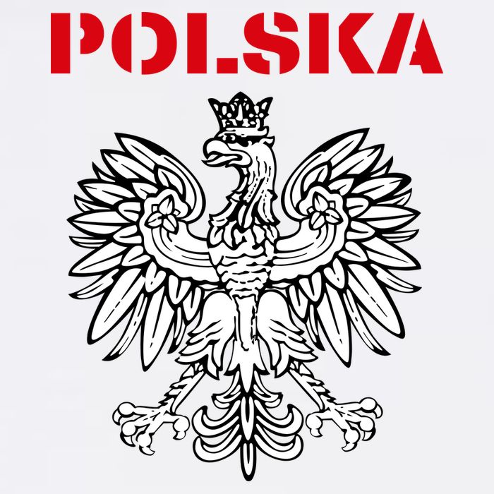 Polska Poland Eagle Poland Heritage Polish Pride Roots Toddler T-Shirt