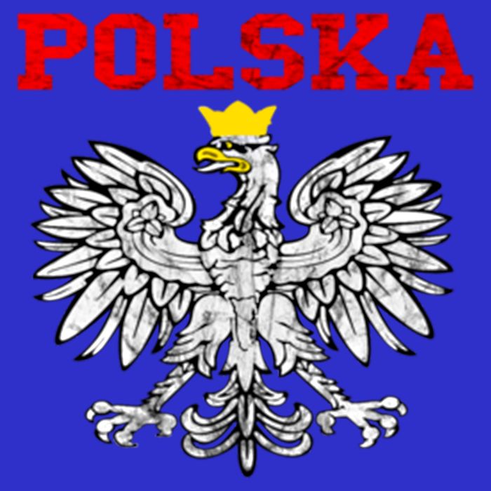 Polska Polish Eagle Poland Flag Polish Pride Polska Poland Gift Sweatshirt