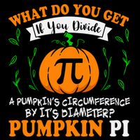 Pumpkin Pi Funny Halloween Thanksgiving Pie Math Pi Day Gift Youth Performance Sprint T-Shirt