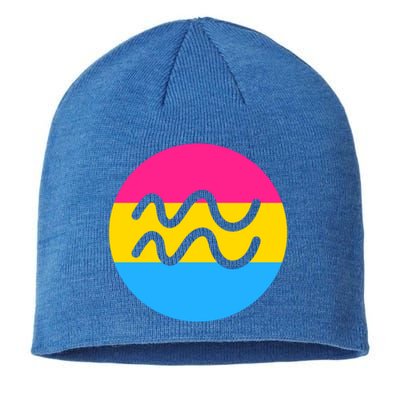 Pansexual Pride Flag Aquarius Horoscope Zodiac Sign Birthday Cool Gift Sustainable Beanie