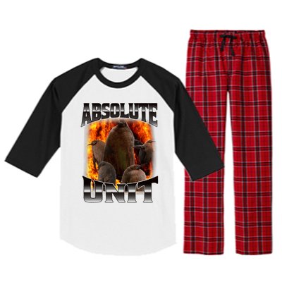 Pesto Penguin Funny Absolute Unit Bootleg Rap Fire Raglan Sleeve Pajama Set