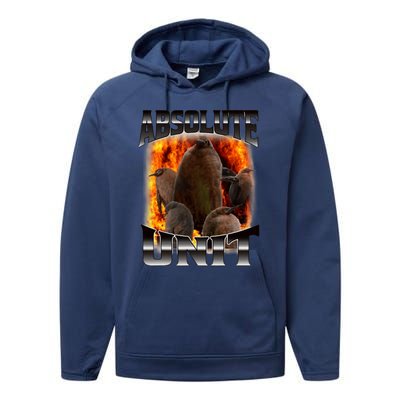 Pesto Penguin Funny Absolute Unit Bootleg Rap Fire Performance Fleece Hoodie