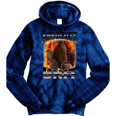 Pesto Penguin Funny Absolute Unit Bootleg Rap Fire Tie Dye Hoodie