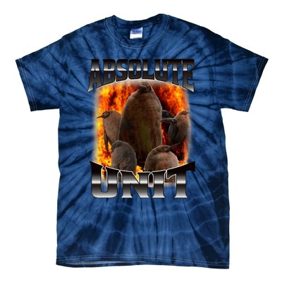 Pesto Penguin Funny Absolute Unit Bootleg Rap Fire Tie-Dye T-Shirt