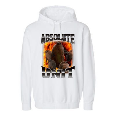 Pesto Penguin Funny Absolute Unit Bootleg Rap Fire Garment-Dyed Fleece Hoodie