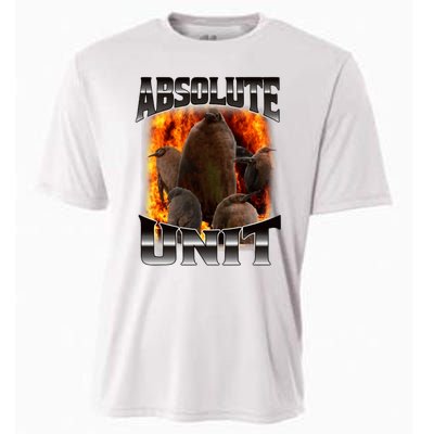 Pesto Penguin Funny Absolute Unit Bootleg Rap Fire Cooling Performance Crew T-Shirt