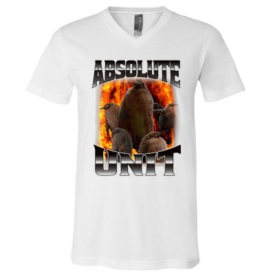 Pesto Penguin Funny Absolute Unit Bootleg Rap Fire V-Neck T-Shirt