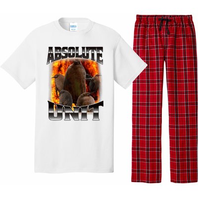 Pesto Penguin Funny Absolute Unit Bootleg Rap Fire Pajama Set