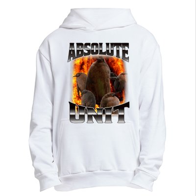 Pesto Penguin Funny Absolute Unit Bootleg Rap Fire Urban Pullover Hoodie