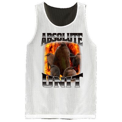 Pesto Penguin Funny Absolute Unit Bootleg Rap Fire Mesh Reversible Basketball Jersey Tank