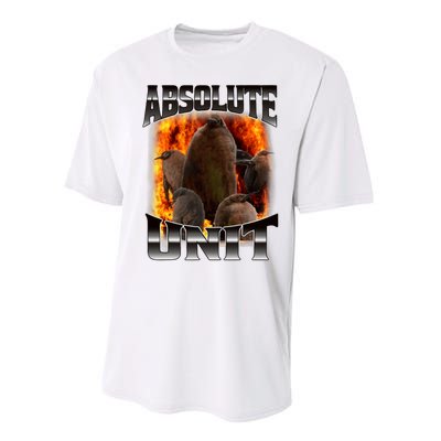 Pesto Penguin Funny Absolute Unit Bootleg Rap Fire Performance Sprint T-Shirt