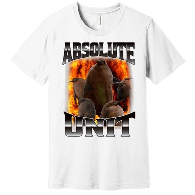 Pesto Penguin Funny Absolute Unit Bootleg Rap Fire Premium T-Shirt