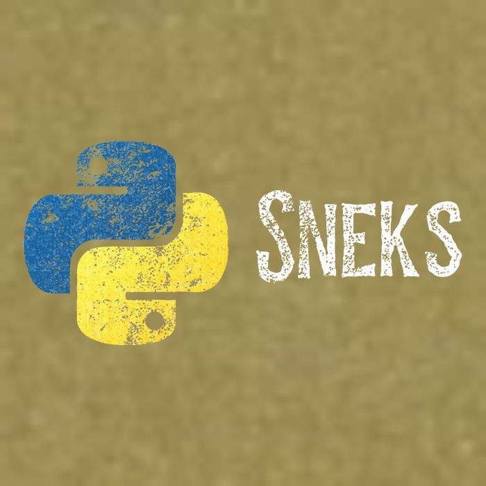 Python Programming Funny Programmer Python Logo Sneks Gift  Garment-Dyed Women's Muscle Tee