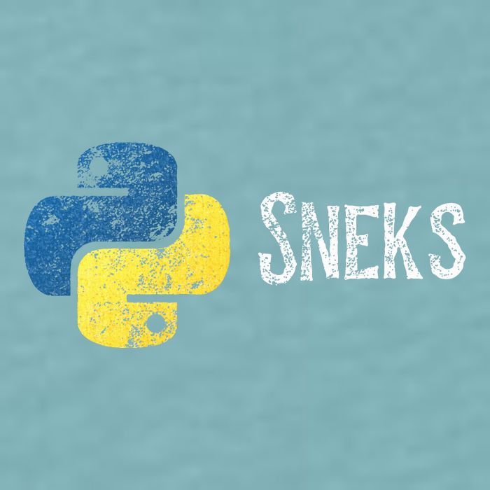 Python Programming Funny Programmer Python Logo Sneks Gift  Sueded Cloud Jersey T-Shirt