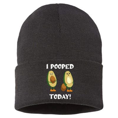 Proud Pooper Funny Poop Fart I Pooped Today Sustainable Knit Beanie