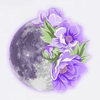 Purple Peonies Flowers Full Moon Poster