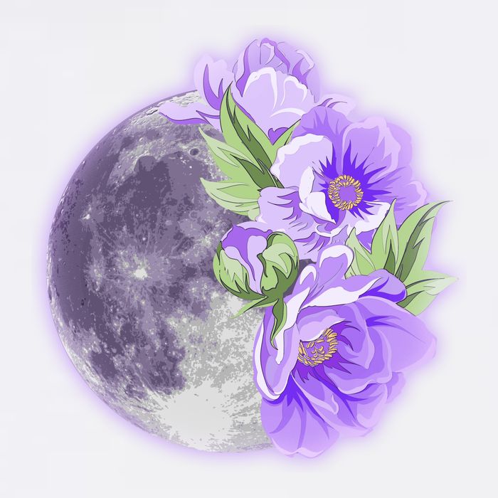 Purple Peonies Flowers Full Moon Poster