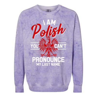 Polish Poland For Poland Polska Polin Eagle Krakow Colorblast Crewneck Sweatshirt