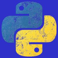 Python Programming For Programmers Women's Racerback Tank